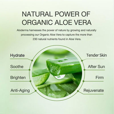 Sooth Aloe Vera Lotion Gezichtsemulsie Lotion voor droge gevoelige huid ODM
