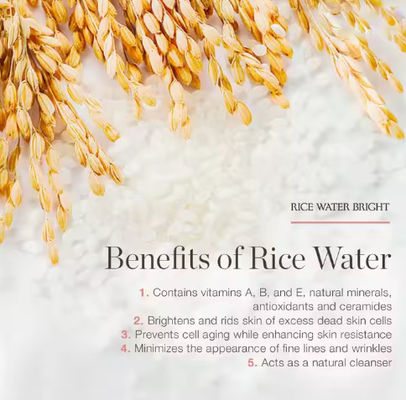 Organic Natural Branqueamento Arroz Água Limpeza Facial Limpeza Facial Limpeza de Marca Privada Cosméticos para Pele Seca Oleosa Limpeza em espuma