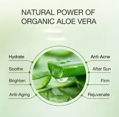 Vitamine C Aloë Kalmerende gezichtscrème VC IJscrème Vochtinbrengende en hydraterende gezichtslotion Gezichtscrème
