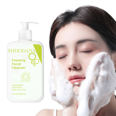 Organic Natural Niacinamide Acid Cleanser Private Label Face Cleanser Foam Face Wash Facial Cleanser
