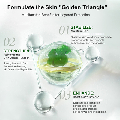Private Label Beauty Centella Asiatica Organic Dark Spot Lift Lightening Glowing Firming Face Anti Wrinkle Aging Serum