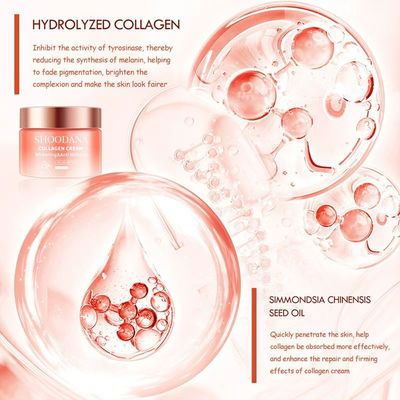 Women's Hydrating Anti-Wrinkle Face Cream Moisturizing Whitening Skin Care with Collagen & Retinol Beauty Product